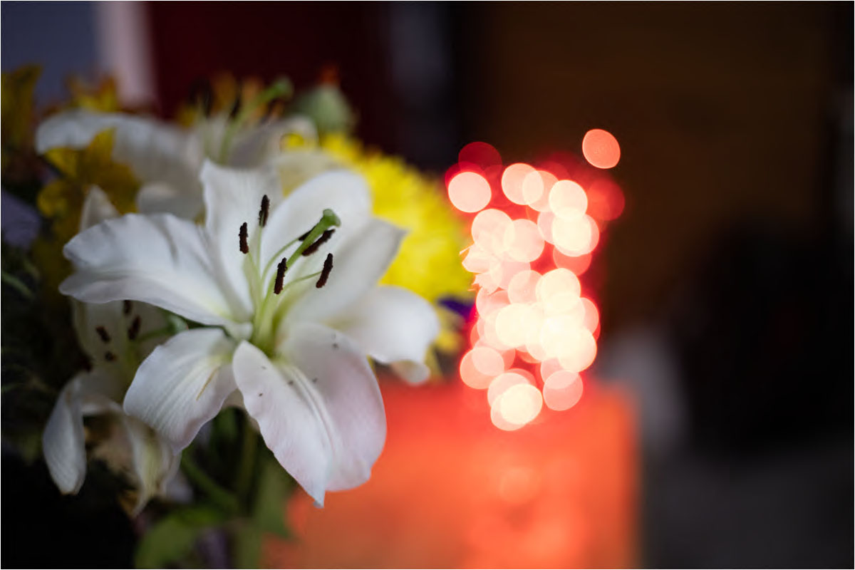 Bouquet Bokeh